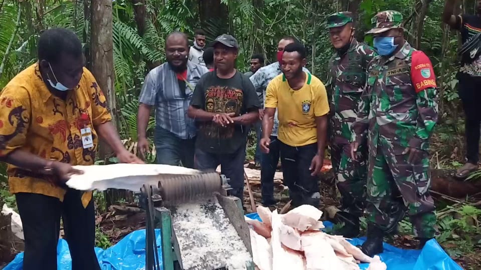 Hadiri Hari Sagu, Ini Pesan Kadis KLH Papua