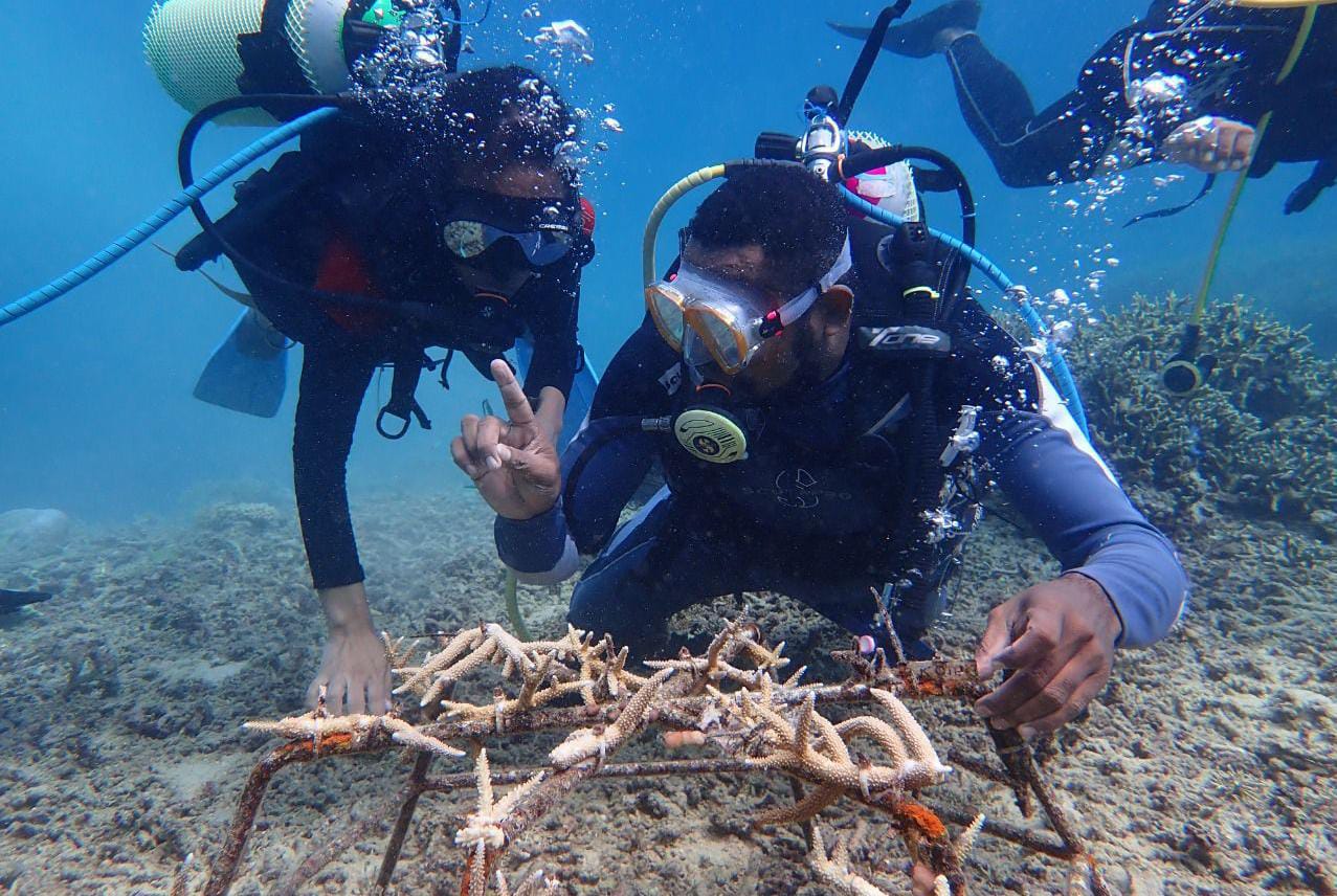 Peduli Pelestarian Biota Laut, PLN Salurkan Bantuan Rehabilitasi Terumbu Karang di Raja Ampat dan Jayapura    