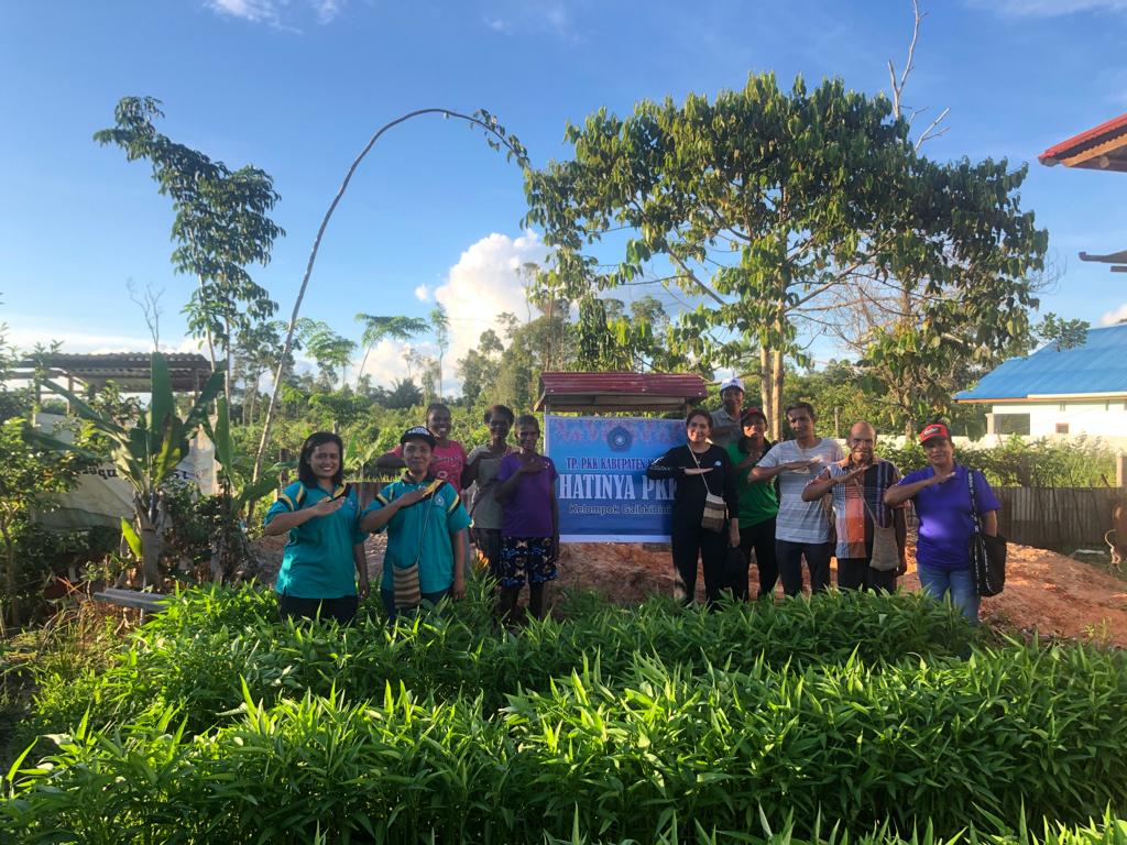 Ketua TP-PKK Mappi Panen Perdana Sayuran Kelompok Tani Gaibkinibi