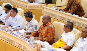 Hadiri Raker di Komisi II DPR-RI, Gubernur Fakhiri: Kebijakan Pusat Harus Bermanfaat Bagi Rakyat Papua Didaerah Perbatasan
