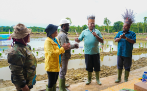 Tanam Padi Perdana dan Serahkan Bantuan Alsintan, Gubernur Fakhiri: Petani Papua Harus Merdeka!