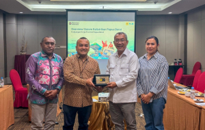 Akselerasi “Papua Terang”, Pastikan Kelistrikan Manokwari dan Teluk Bintuni Semakin Andal