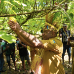 Gubernur Papua Dorong Pengembangan Perkebunan Kakao di Kabupaten Kepulauan Yapen