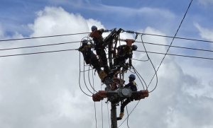 Amankan Pasokan Energi dan Iduladha 1447 H, PLN Gelar Aksi “Gerebek Penyulang” 