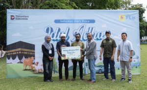Tebar Keberkahan Iduladha 1447 H, PLN Salurkan 23 Hewan Kurban di Tanah Papua