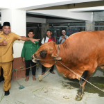 Hari Raya Idul Adha 1447 H, Gubernur Fakhiri Serahkan 70 Hewan Kurban, 10 dari Presiden Prabowo