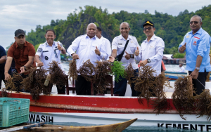 Optimalkan “Emas Biru” di Pesisir Papua, Gubernur Fakhiri Dorong Hilirisasi Hasil Laut Jadi Motor Baru Ekonomi Daerah
