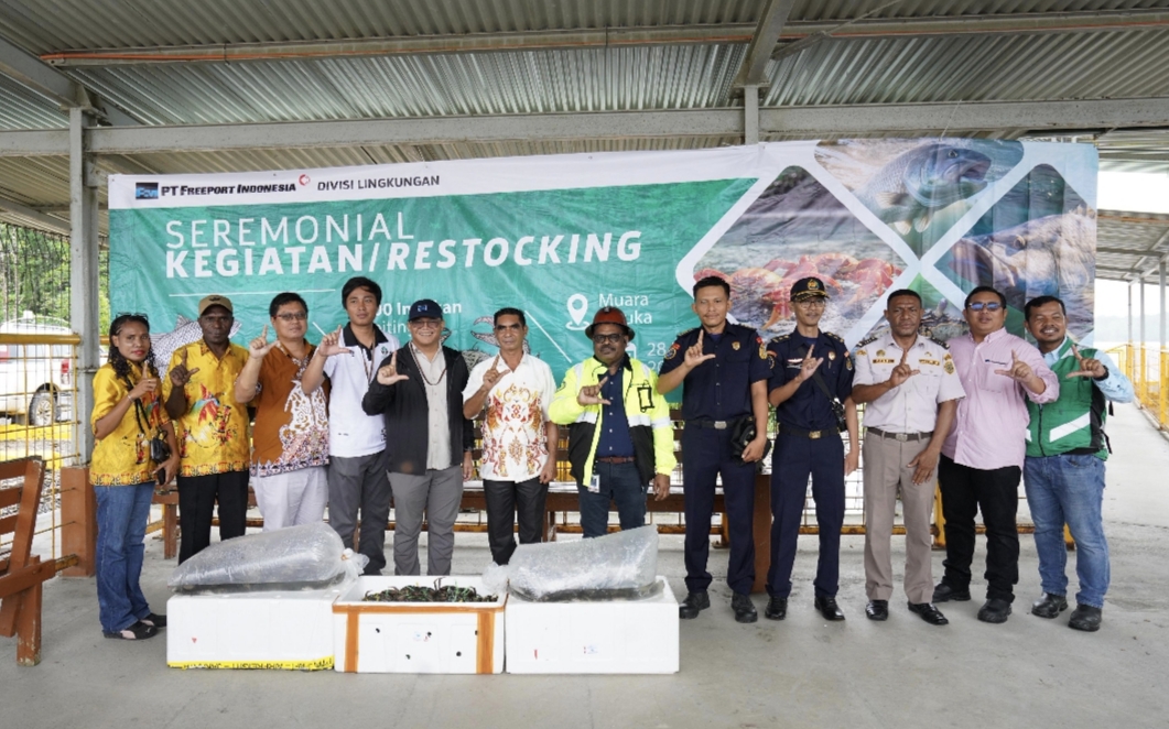 Dukung Keberlanjutan Ekosistem Pesisir Mimika, Freeport Lepas 10.000 Bibit Baramundi dan 1.000 Kepiting Bakau