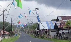 Jelang Piala Dunia, PLN Imbau Warga Jaga Jarak Aman Atribut dari Jaringan Listrik