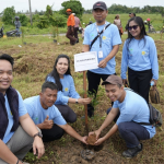 Dukung Gerakan ASRI Pemprov Papua Barat Daya, PLN Tanam 500 Bibit Pohon di Sorong