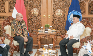 Bertemu Mendikdasmen Gubernur MDF Minta Pusat Perkuat Pendidikan Dasar, Guru dan Pengembangan SLB di Papua