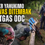 Satgas ODC Tembak Mati 3 Anggota KKB Kodap XVI Yahukimo Batalyon Yamue, Berikut Daftar Kejahatannya