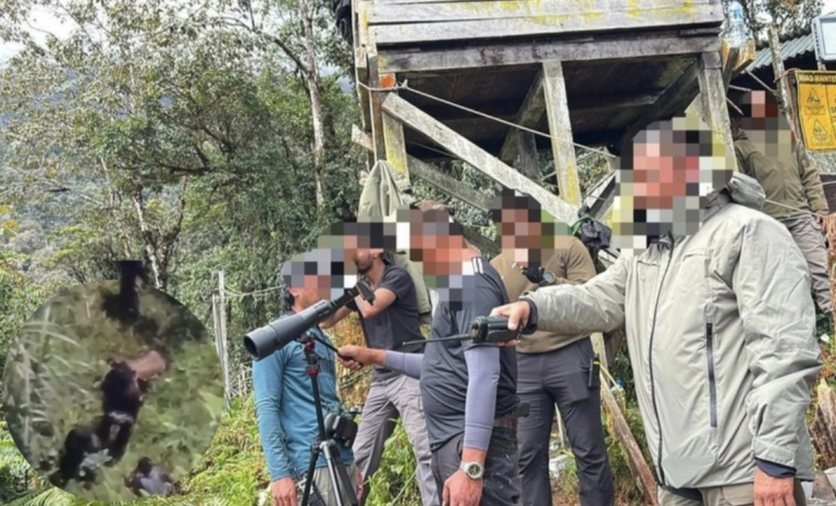 Polisi Tembak DPO Kasus Penembakan Warga Asing di PT Freeport Indonesia