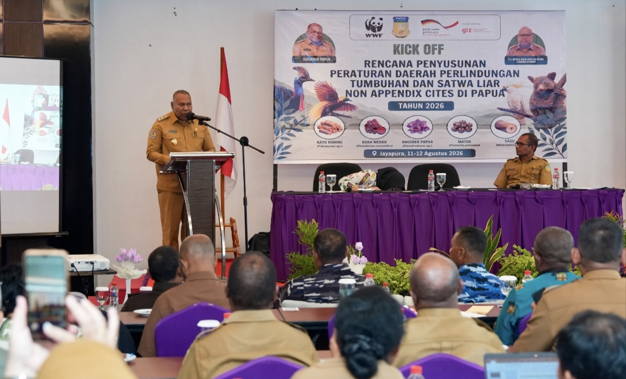 Lindungi Biodiversity, Pemprov Papua Susun Raperda Bagi Tumbuhan dan Satwa Liar
