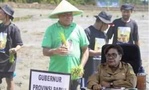 Program Cetak Sawah Rakyat di Papua Targetkan 6.500 Hektar Rampung pada Desember 2026