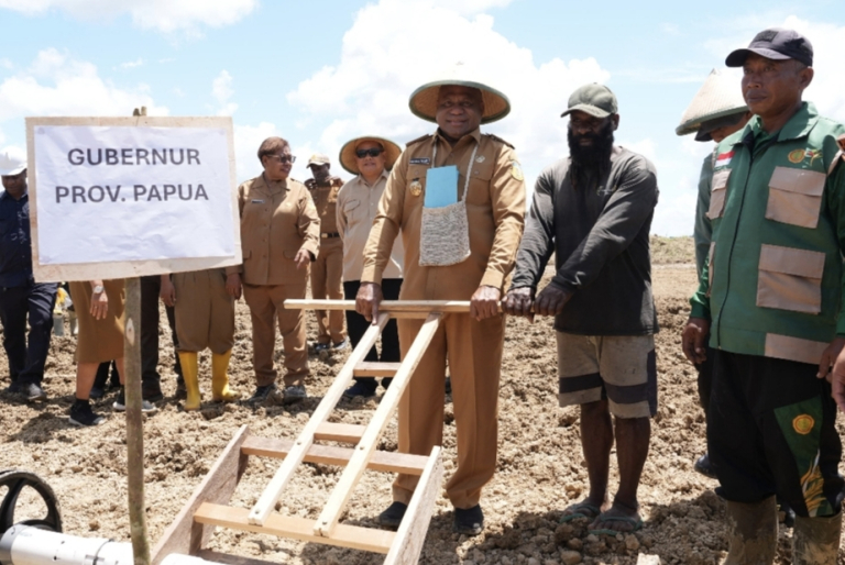 Tanam Padi di Senggi, Gubernur MDF Pastikan Hasil Panen Petani Dibeli