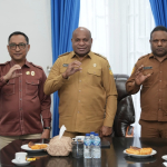 Bertemu Gubernur MDF, BKN Dorong Percepatan Manajemen Talenta ASN di Papua Melalui Profilling