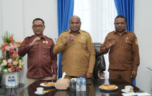 Bertemu Gubernur MDF, BKN Dorong Percepatan Manajemen Talenta ASN di Papua Melalui Profilling