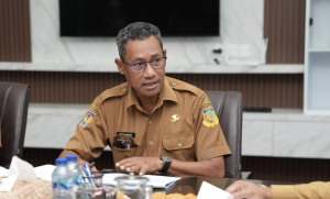 Kabar Gembira! Pemprov Papua Siap Lounching Kartu KASIH, Layanan Kesehatan Gratis Bagi Ibu Hamil dan Bayi 